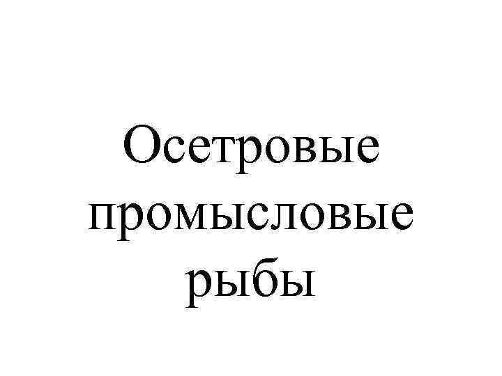Осетровые промысловые рыбы 