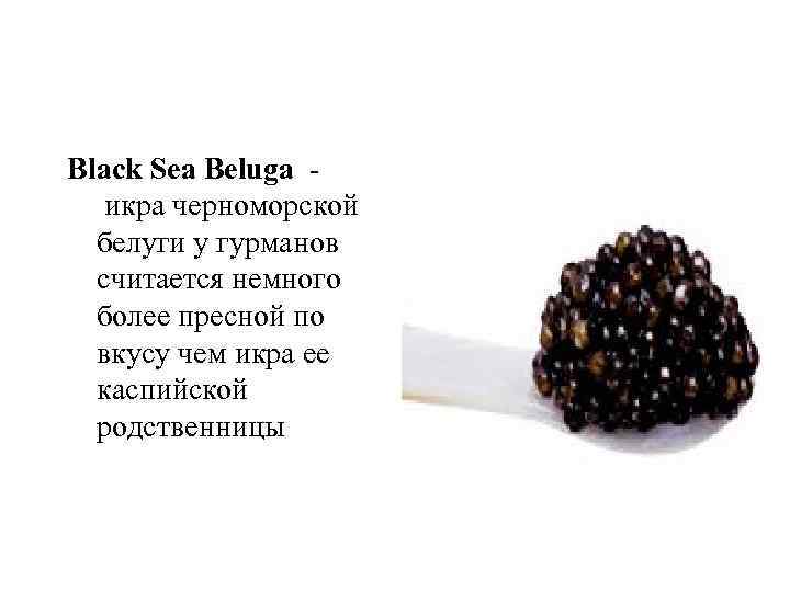 Black Sea Beluga - икра черноморской белуги у гурманов считается немного более пресной по