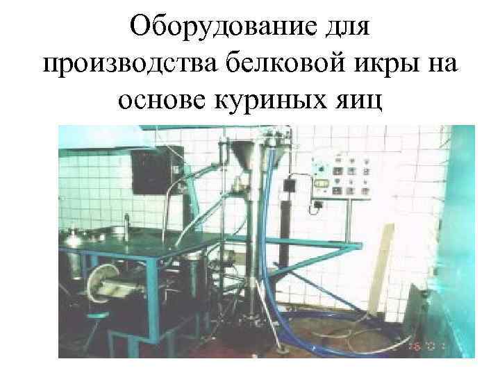 Оборудование для производства белковой икры на основе куриных яиц 