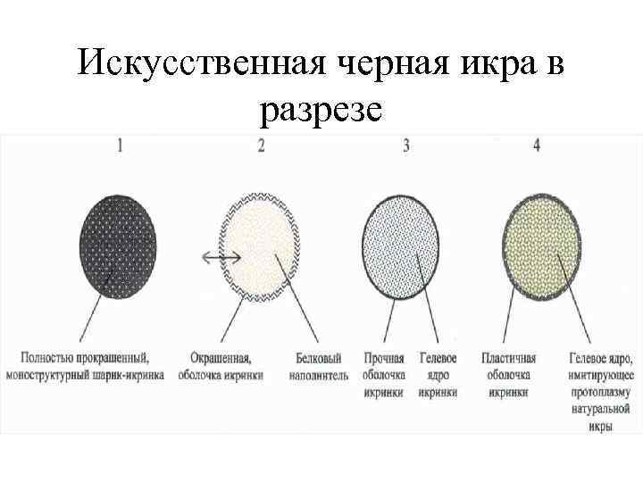Искусственная черная икра в разрезе 