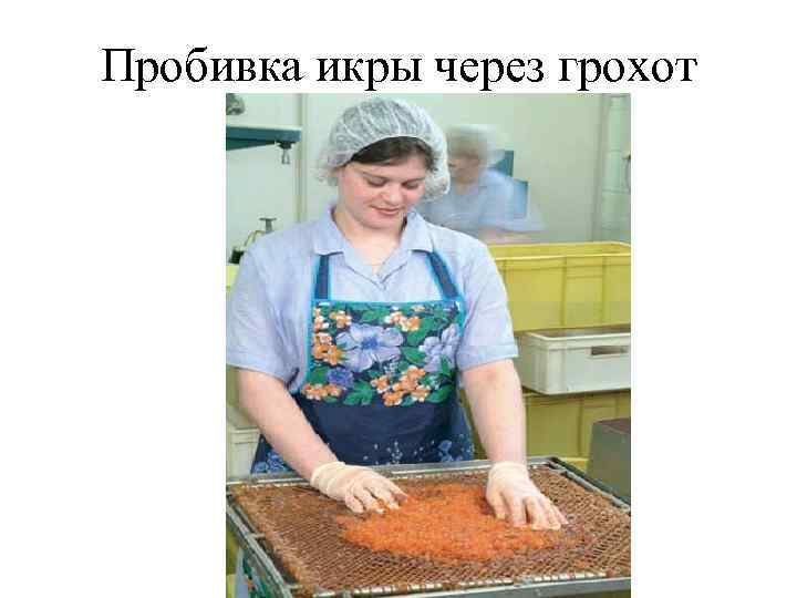 Пробивка икры через грохот 