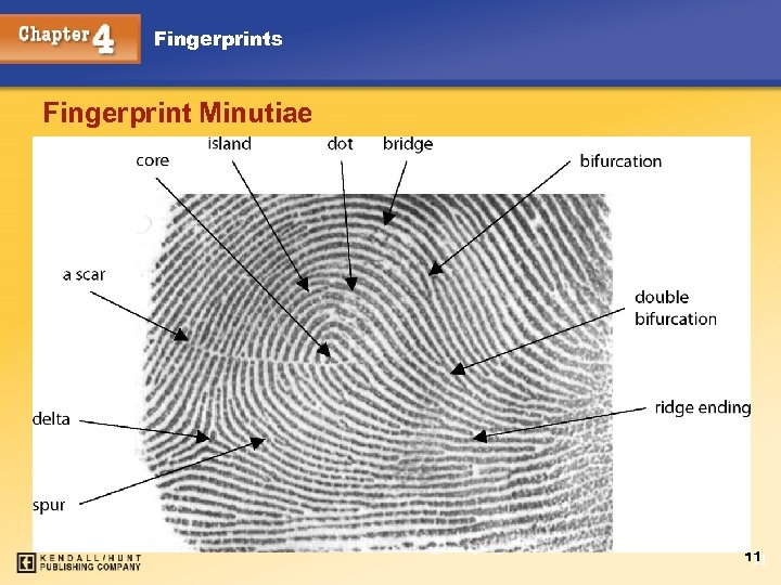 Fingerprints Fingerprint Minutiae Chapter 4 Kendall/Hunt Publishing Company 11 11 