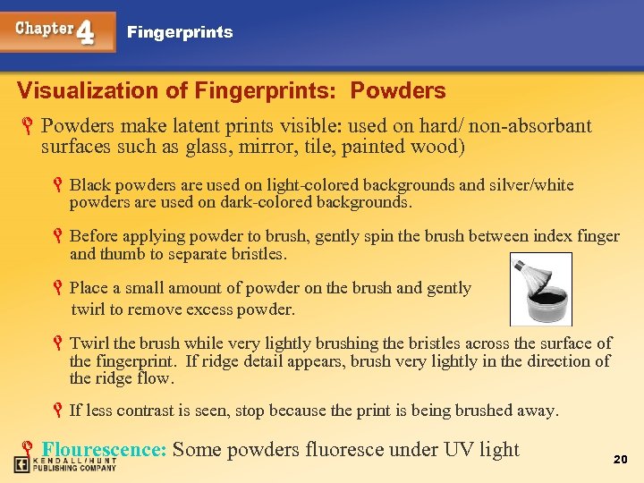 Fingerprints Visualization of Fingerprints: Powders L Powders make latent prints visible: used on hard/