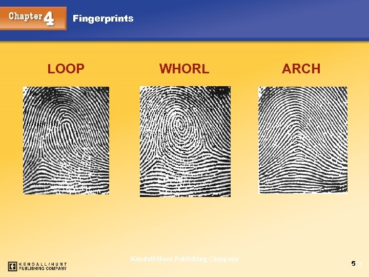 Fingerprints LOOP Chapter 4 WHORL Kendall/Hunt Publishing Company ARCH 5 5 