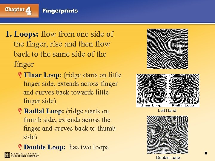 Fingerprints 1. Loops: flow from one side of the finger, rise and then flow