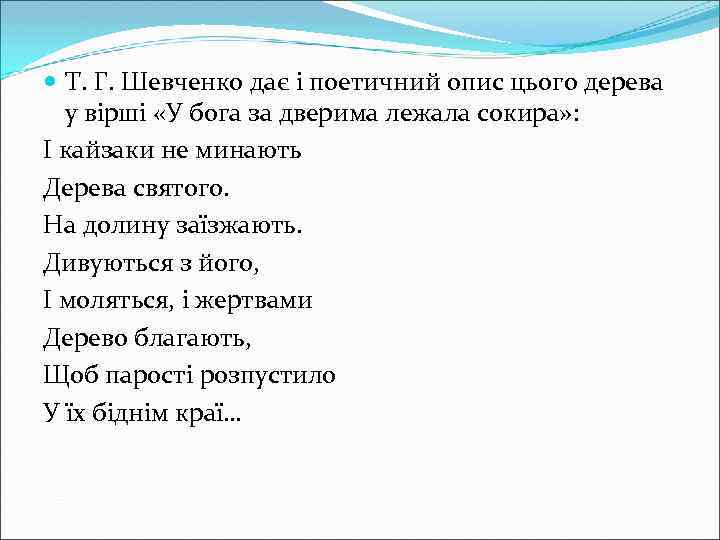  Т. Г. Шевченко дає і поетичний опис цього дерева у вірші «У бога