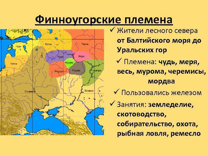 Финноугорские племена ü Жители лесного севера от Балтийского моря до Уральских гор ü Племена: