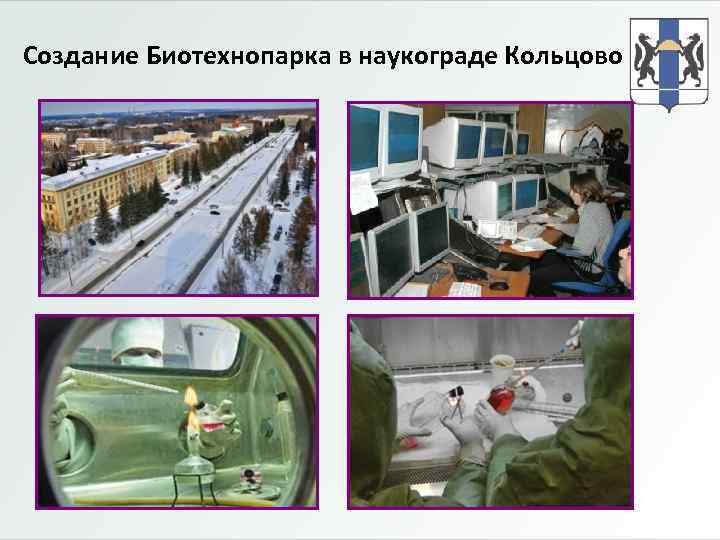 Создание Биотехнопарка в наукограде Кольцово 
