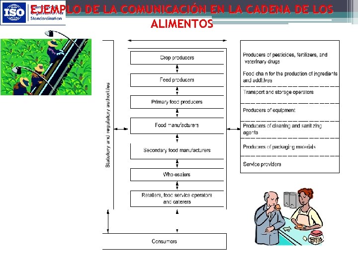 EJEMPLO DE LA COMUNICACIÓN EN LA CADENA DE LOS ALIMENTOS 