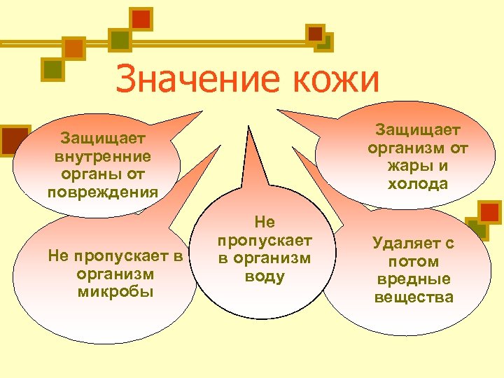 Значение кожи Защищает организм от жары и холода Защищает внутренние органы от повреждения Не