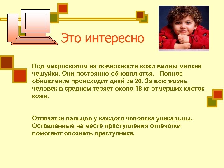 Это интересно Под микроскопом на поверхности кожи видны мелкие чешуйки. Они постоянно обновляются. Полное