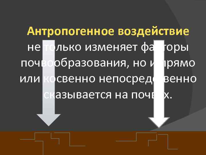 Антропогенное воздействие не только изменяет факторы почвообразования, но и прямо или косвенно непосредственно сказывается