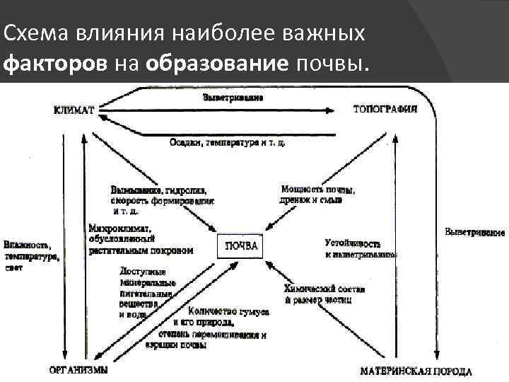 Процесс образования почвы схема