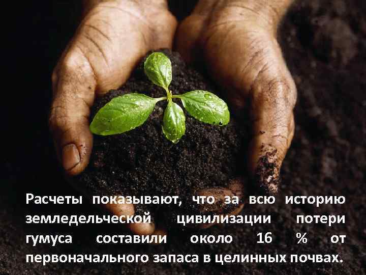 Расчеты показывают, что за всю историю земледельческой цивилизации потери гумуса составили около 16 %