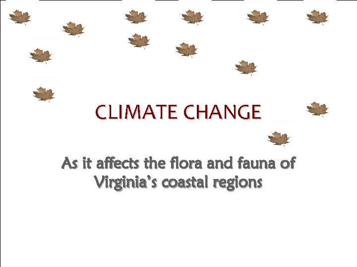 Flora & Fauna CLIMATE CHANGE As it affects the flora and fauna of Virginia’s