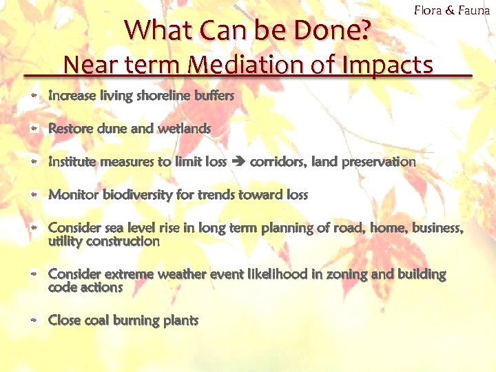 What Can be Done? Flora & Fauna Near term Mediation of Impacts Increase living