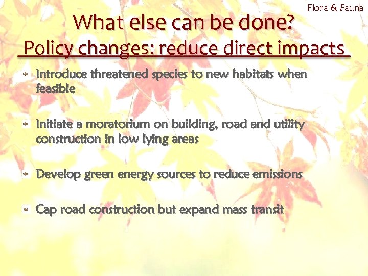 What else can be done? Flora & Fauna Policy changes: reduce direct impacts Introduce