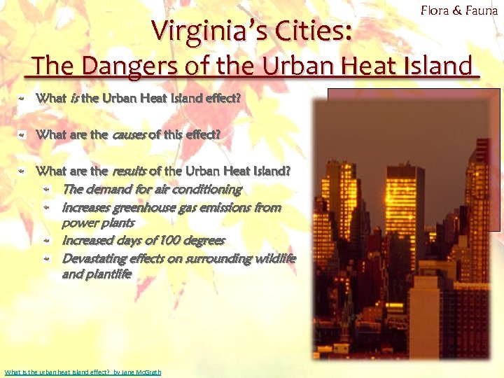 Virginia’s Cities: Flora & Fauna The Dangers of the Urban Heat Island What is