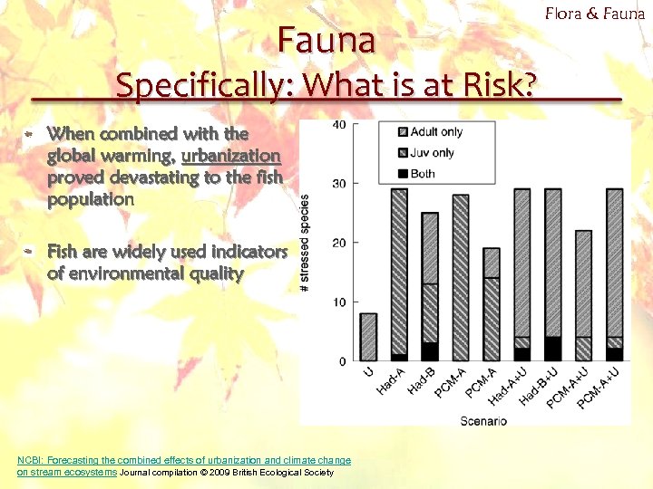 Fauna Specifically: What is at Risk? When combined with the global warming, urbanization proved