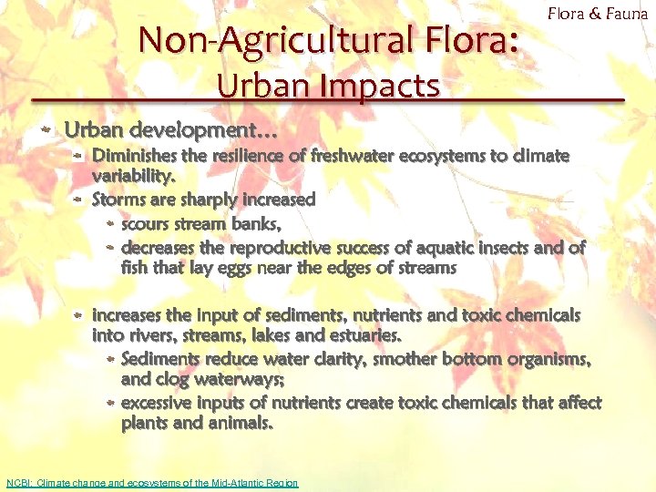 Non-Agricultural Flora: Flora & Fauna Urban Impacts Urban development… Diminishes the resilience of freshwater