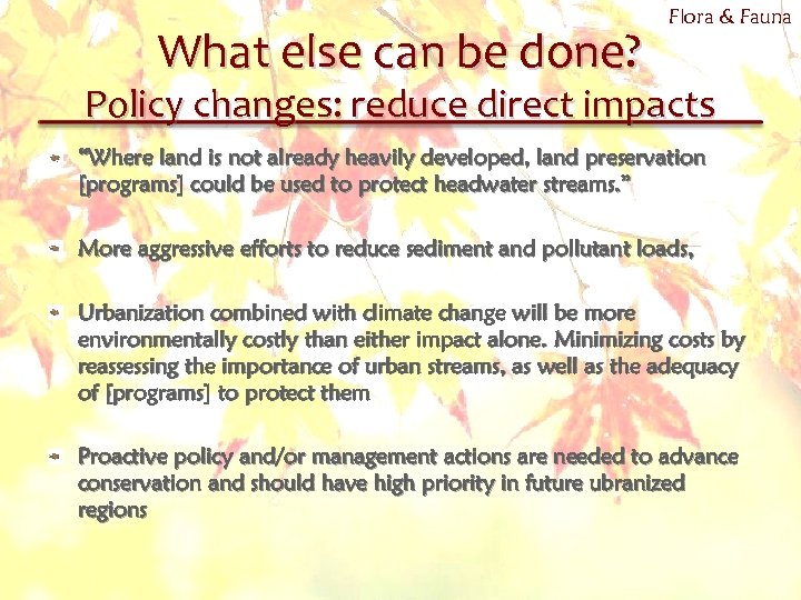 What else can be done? Flora & Fauna Policy changes: reduce direct impacts “Where