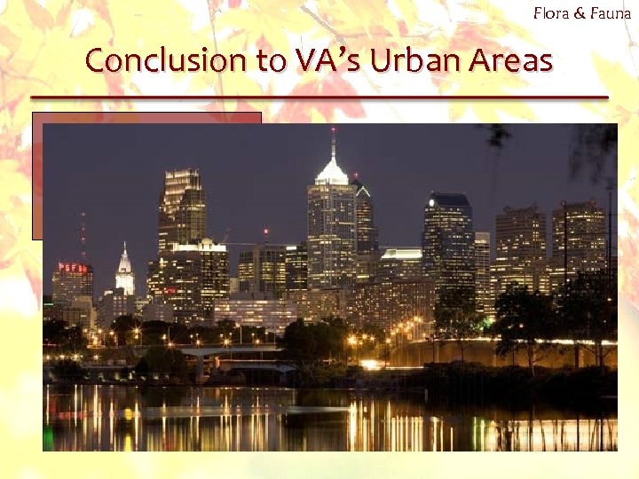 Flora & Fauna Conclusion to VA’s Urban Areas 