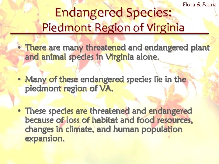 Endangered Species: Flora & Fauna Piedmont Region of Virginia • There are many threatened