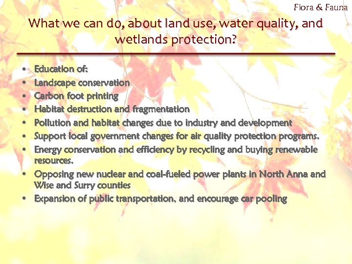 Flora & Fauna What we can do, about land use, water quality, and wetlands