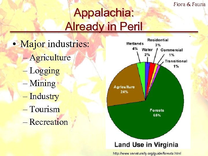 Appalachia: Already in Peril Flora & Fauna • Major industries: – Agriculture – Logging