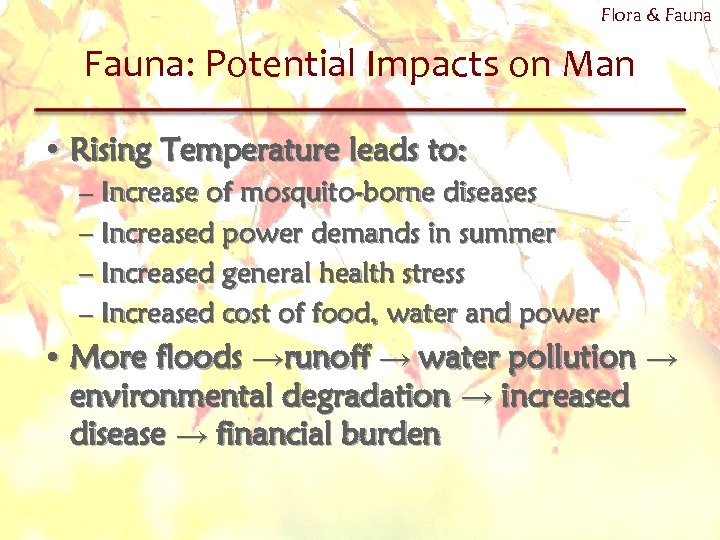 Flora & Fauna: Potential Impacts on Man • Rising Temperature leads to: – Increase