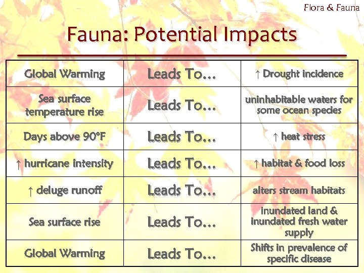 Flora & Fauna: Potential Impacts Leads To… ↑ Drought incidence Sea surface temperature rise