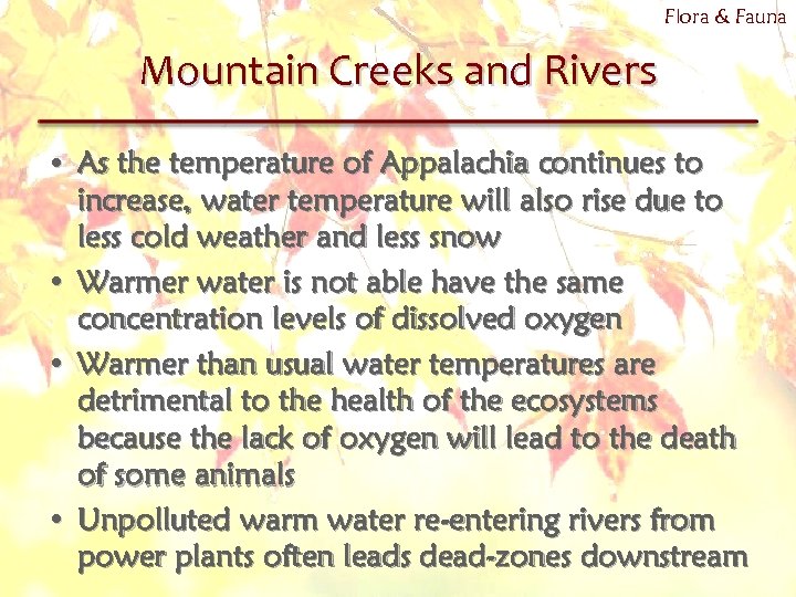 Flora & Fauna Mountain Creeks and Rivers • As the temperature of Appalachia continues