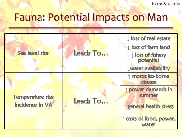 Flora & Fauna: Potential Impacts on Man ↓ loss of real estate Sea level