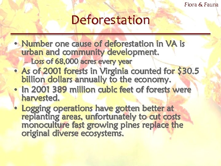 Flora & Fauna Deforestation • Number one cause of deforestation in VA is urban