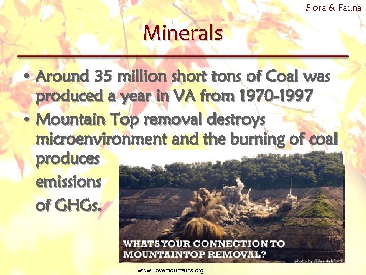 Flora & Fauna Minerals • Around 35 million short tons of Coal was produced