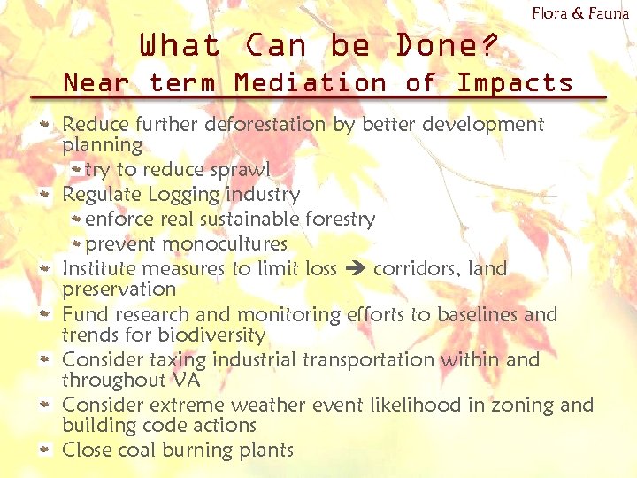 Flora & Fauna What Can be Done? Near term Mediation of Impacts Reduce further