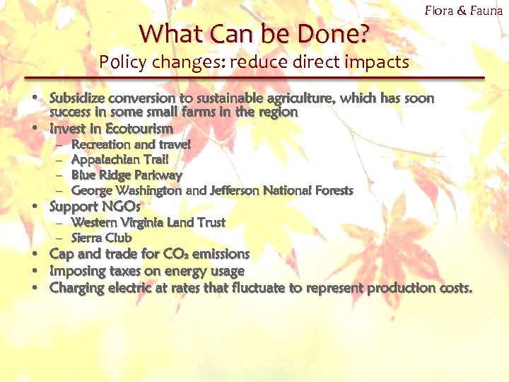 What Can be Done? Flora & Fauna Policy changes: reduce direct impacts • Subsidize