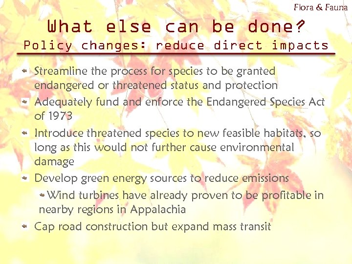 Flora & Fauna What else can be done? Policy changes: reduce direct impacts Streamline