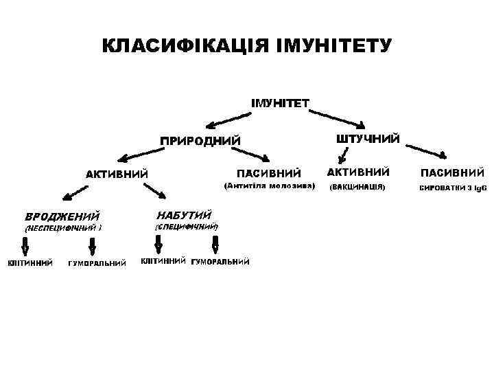 КЛАСИФІКАЦІЯ ІМУНІТЕТУ 