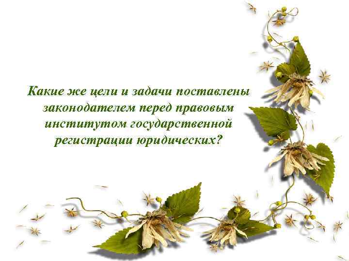 Какие же цели и задачи поставлены законодателем перед правовым институтом государственной регистрации юридических? 