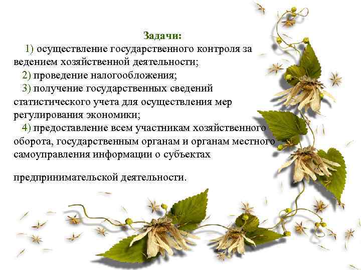 Задачи: 1) осуществление государственного контроля за ведением хозяйственной деятельности; 2) проведение налогообложения; 3) получение