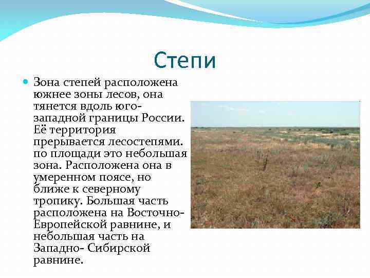 Климат степей и лесостепей в россии