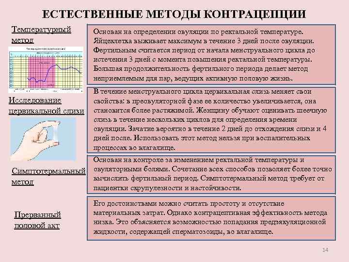 ЕСТЕСТВЕННЫЕ МЕТОДЫ КОНТРАЦЕПЦИИ Температурный метод Основан на определении овуляции по ректальной температуре. Яйцеклетка выживает