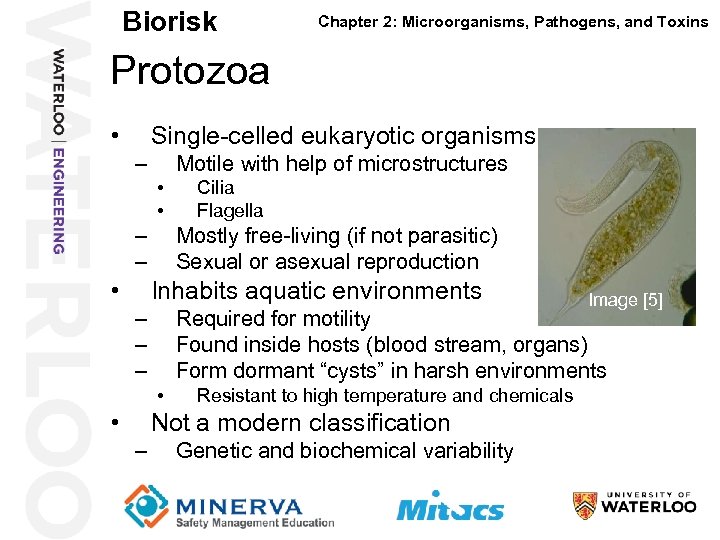 Biorisk Chapter 2: Microorganisms, Pathogens, and Toxins Protozoa 26 • Single-celled eukaryotic organisms –