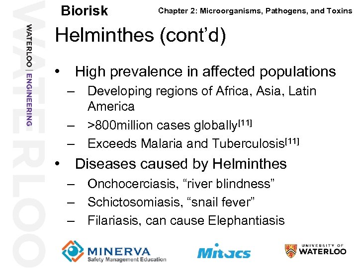 Biorisk Chapter 2: Microorganisms, Pathogens, and Toxins Helminthes (cont’d) 29 • High prevalence in