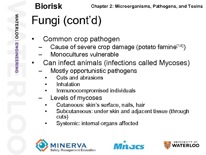 Biorisk Chapter 2: Microorganisms, Pathogens, and Toxins Fungi (cont’d) 33 • Common crop pathogen