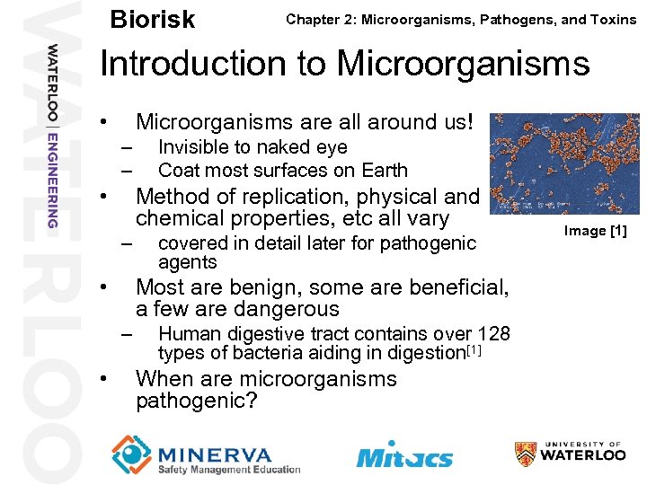 Biorisk Chapter 2: Microorganisms, Pathogens, and Toxins Introduction to Microorganisms 4 • Microorganisms are