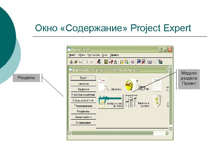 Окно «Содержание» Project Expert Разделы Модули раздела Проект 