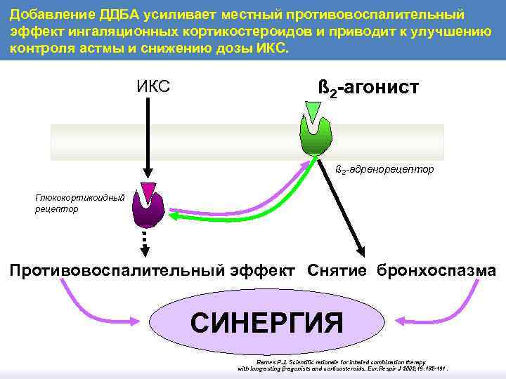 Добавление ДДБА усиливает местный противовоспалительный эффект ингаляционных кортикостероидов и приводит к улучшению контроля астмы