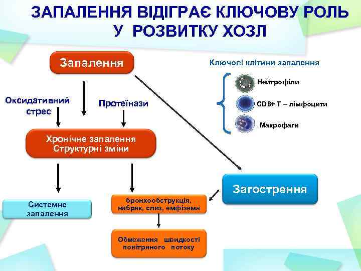 ЗАПАЛЕННЯ ВІДІГРАЄ КЛЮЧОВУ РОЛЬ У РОЗВИТКУ ХОЗЛ Запалення Курение Оксидативний стрес Ключові клітини запалення